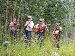 Aspen wedding live band music event party